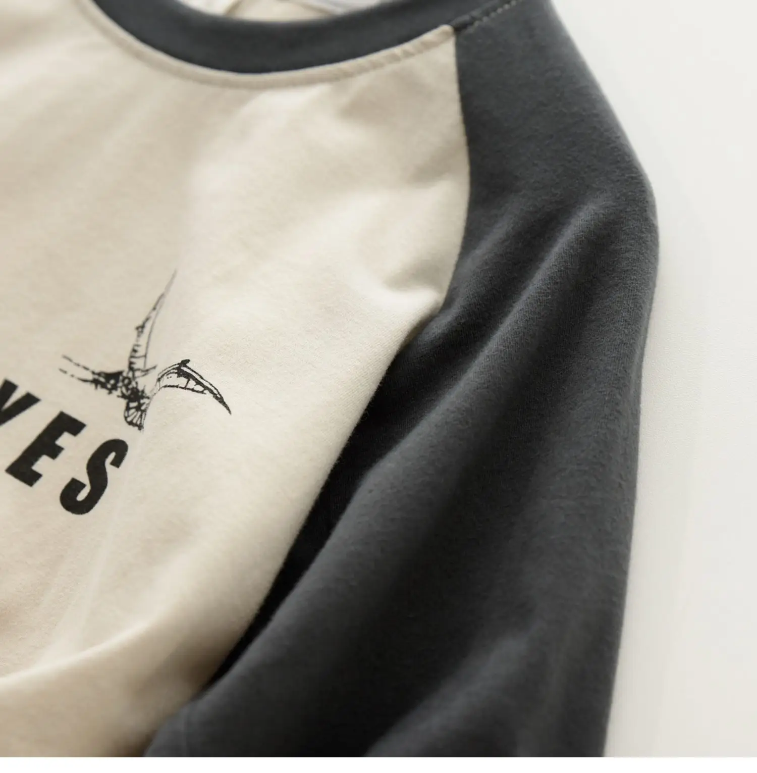 170x Boys Cotton Dinosaur Sweatshirt White Blue — feature 16