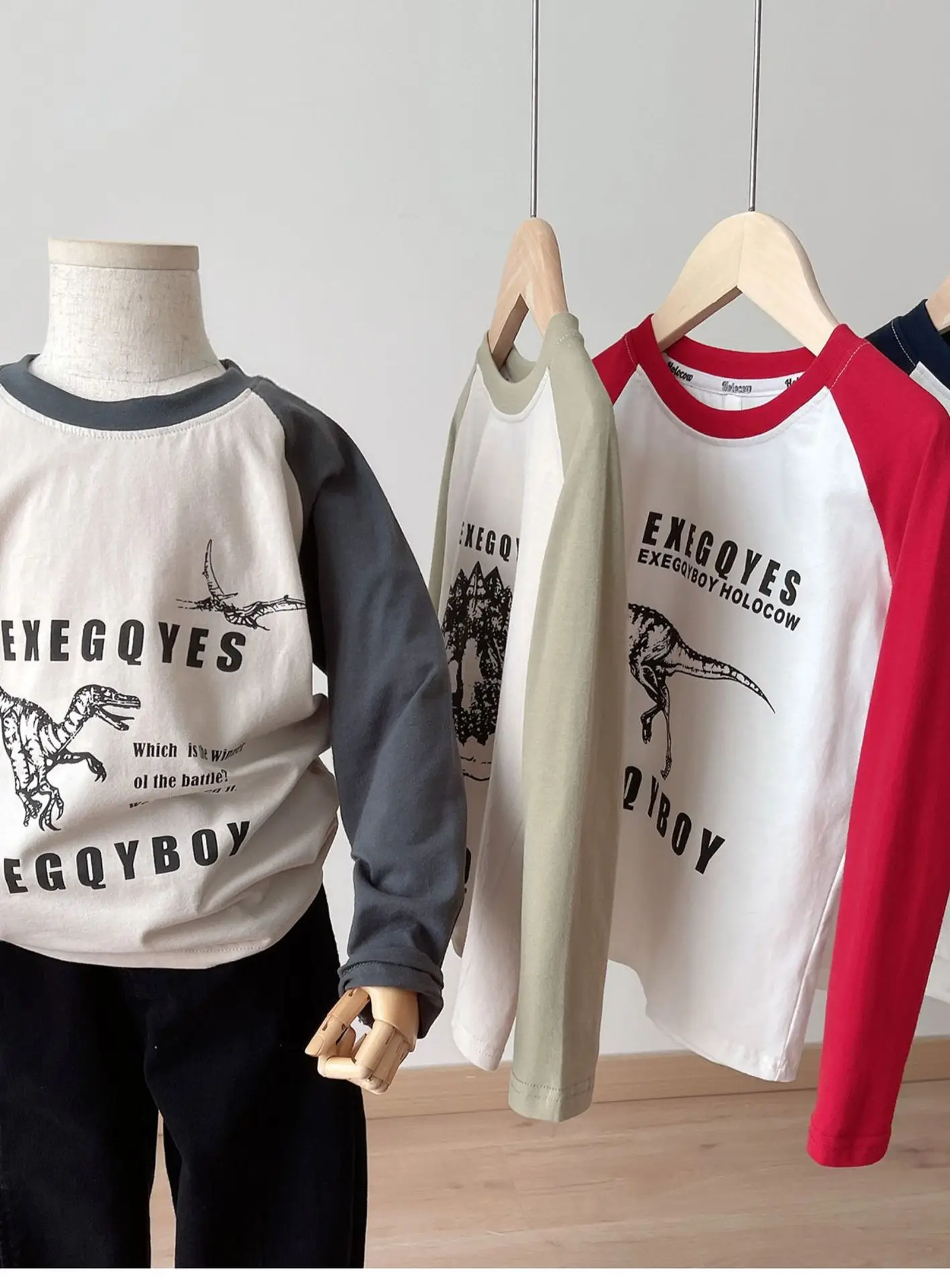 170x Boys Cotton Dinosaur Sweatshirt White Blue — feature 4