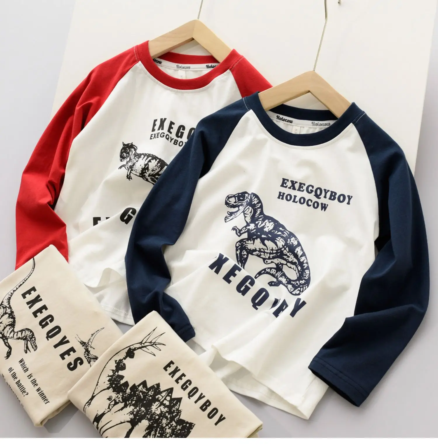 170x Boys Cotton Dinosaur Sweatshirt White Blue — feature 5