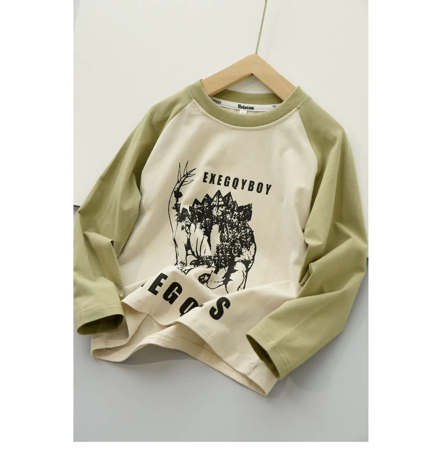 170x Boys Cotton Dinosaur Sweatshirt White Blue — feature 7