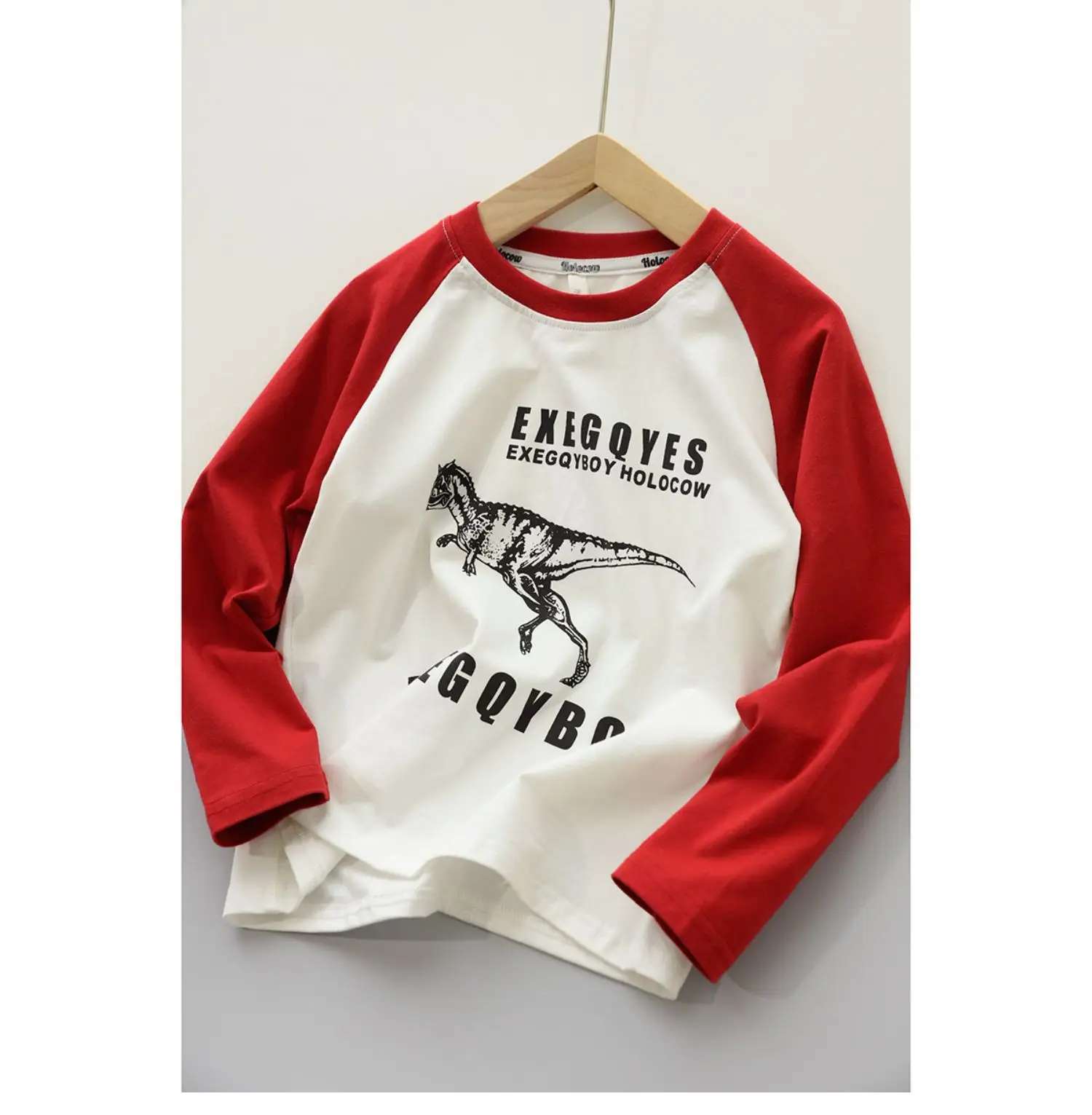 170x Boys Cotton Dinosaur Sweatshirt White Blue — feature 9