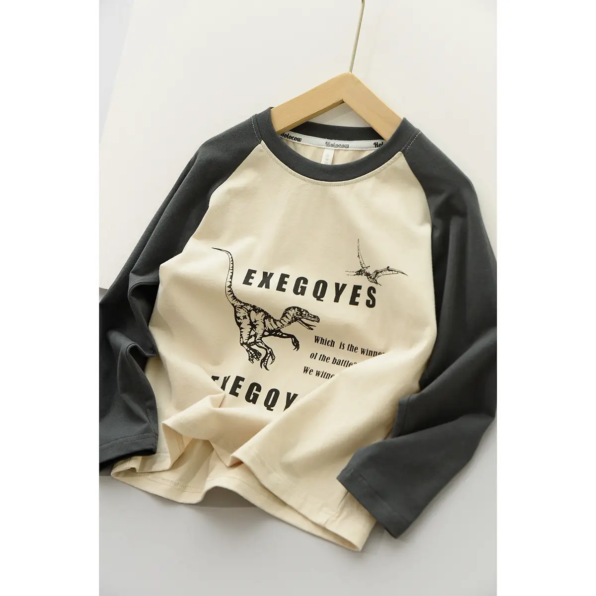 170x Boys Cotton Dinosaur Sweatshirt White Blue - Image 2