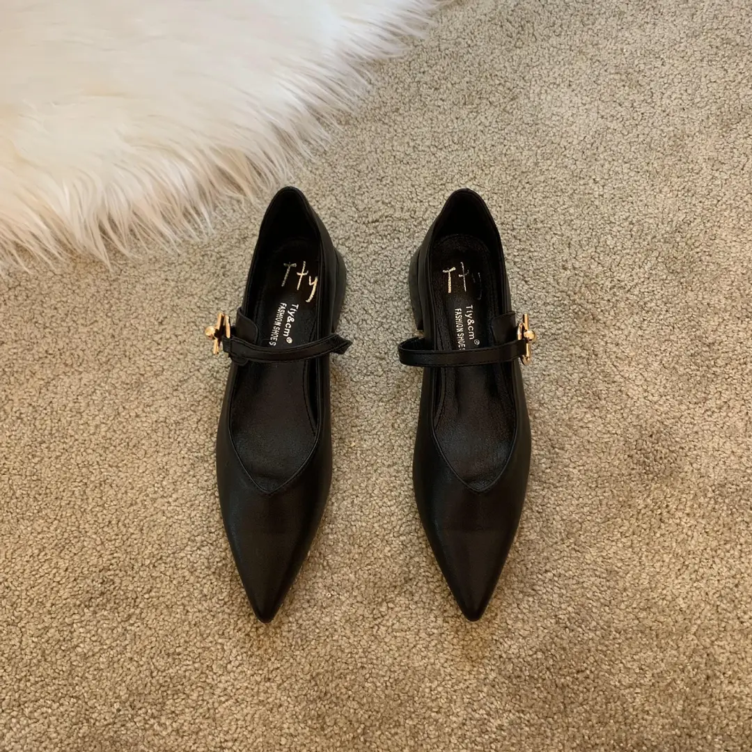 Design sense niche low heel shoes French retro single shoes chunky heel buckle women's shoes - Image 2