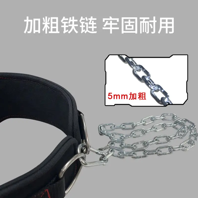 Weight-bearing Lifting Belt for Fitness & Strength Training