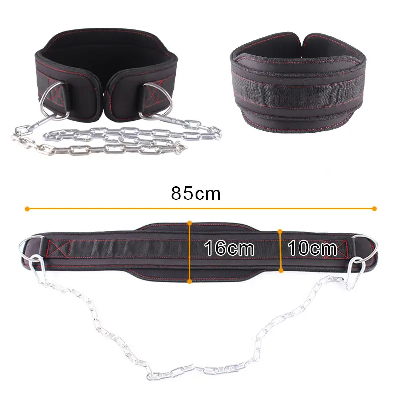 Weight-bearing Lifting Belt for Fitness & Strength Training