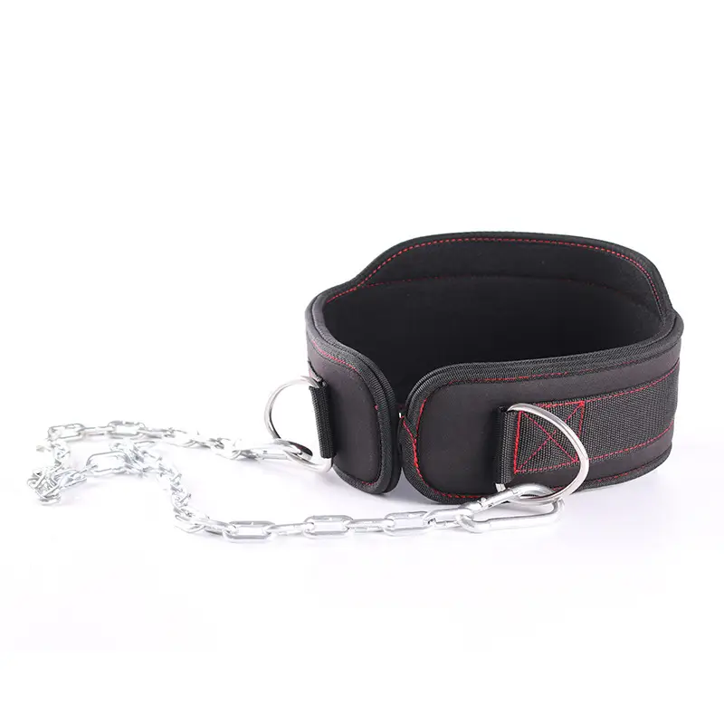 Weight-bearing Lifting Belt for Fitness & Strength Training