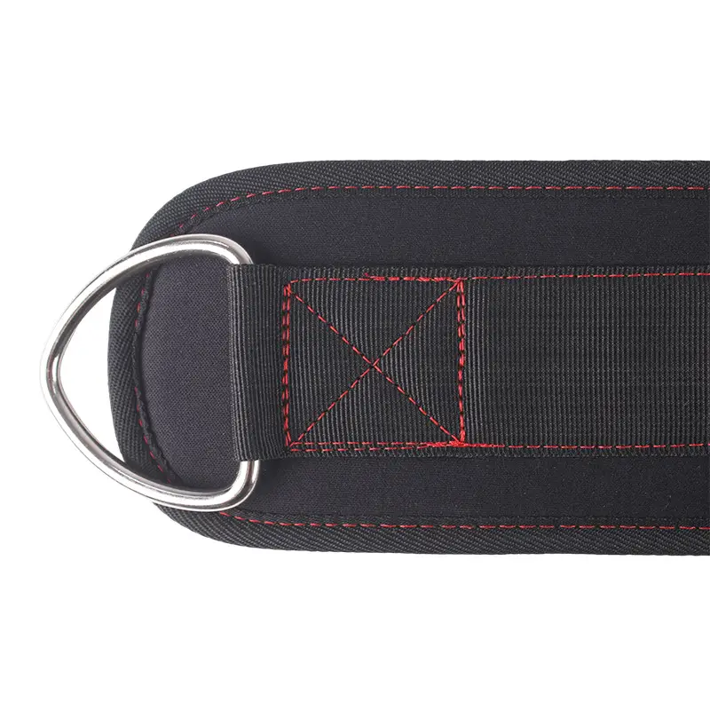Weight-bearing Lifting Belt for Fitness & Strength Training — feature 12