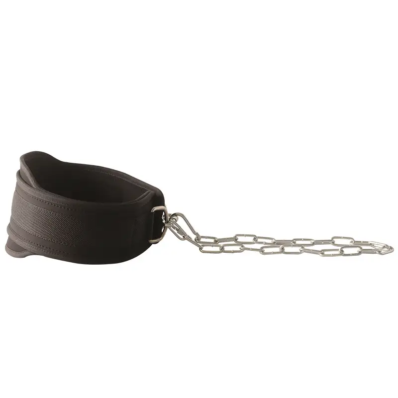 Weight-bearing Lifting Belt for Fitness & Strength Training — feature 16