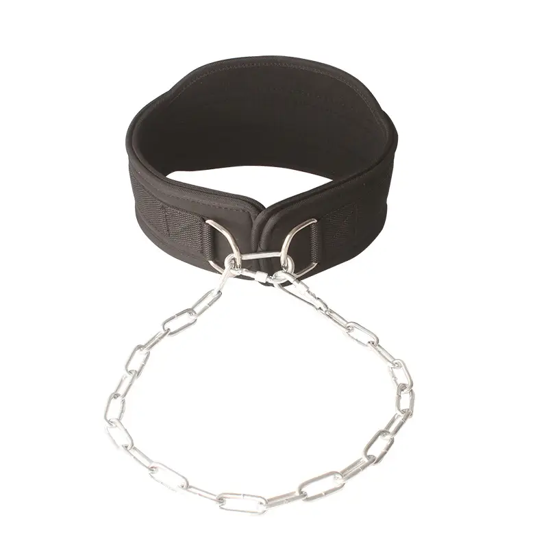 Weight-bearing Lifting Belt for Fitness & Strength Training