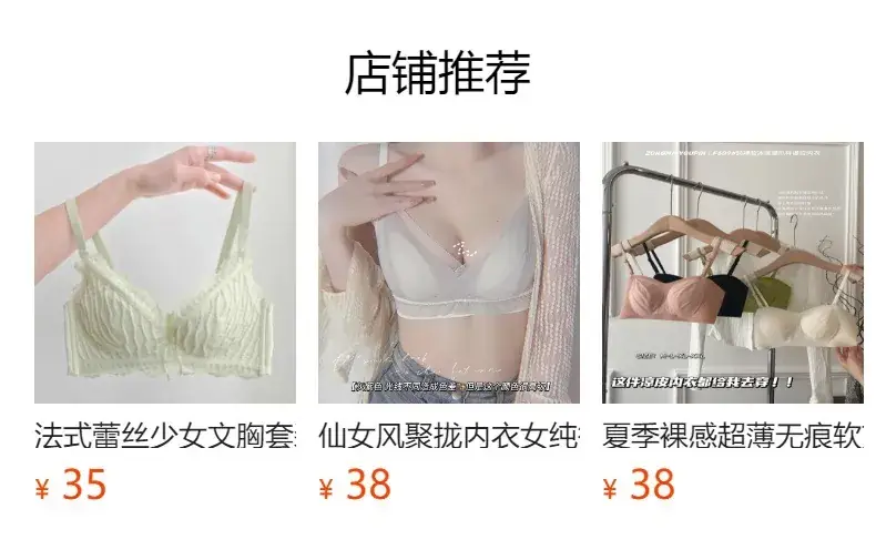 Sexy Lace Large Bust Minimizing Bunny Cup Bra — feature 2