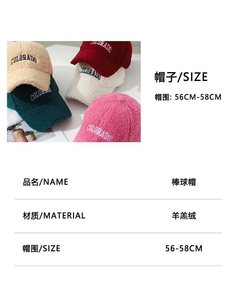 Women's Embroidered Wool Baseball Cap Winter Warm Outdoor — feature 15