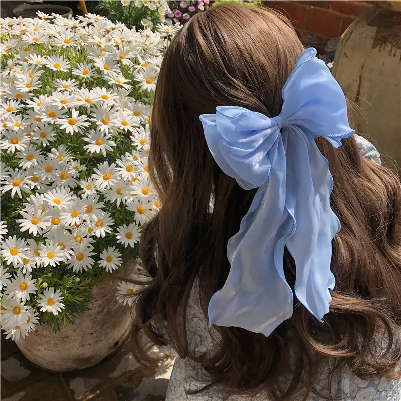 Blue & Pink Hairpin Clip for Girls