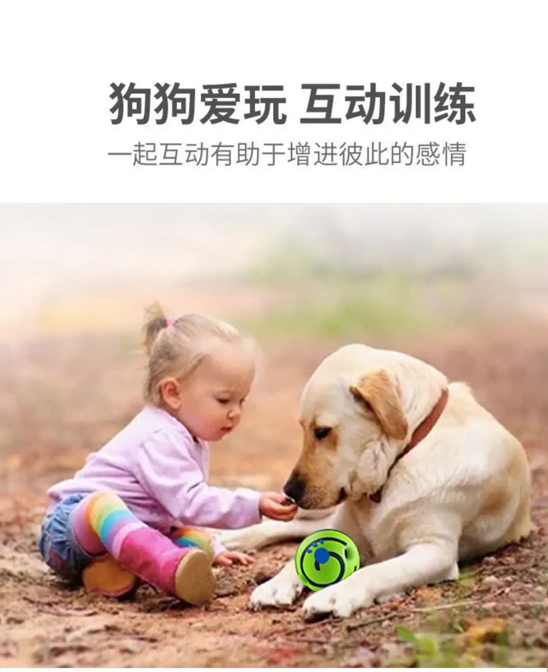 Amazon pet dog toy self-hi ball giggle ball rolling sound ball molar relieving stuffy bite-resistant funny dog artifact — feature 4