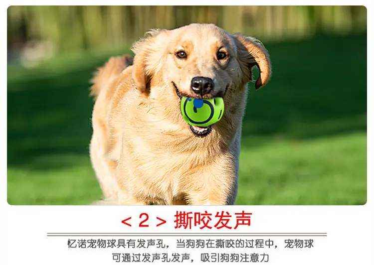 Amazon pet dog toy self-hi ball giggle ball rolling sound ball molar relieving stuffy bite-resistant funny dog artifact — feature 7