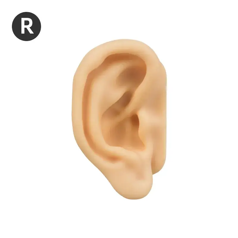 R right ear-acupoint exercises big ear