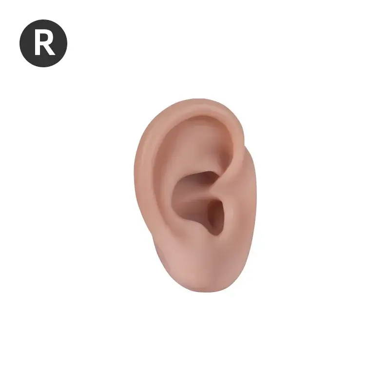 R Right Ear-Dark Skin Small Ear