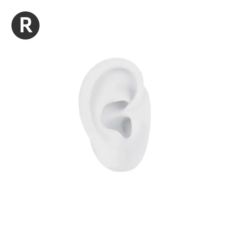 R right ear-small white ear