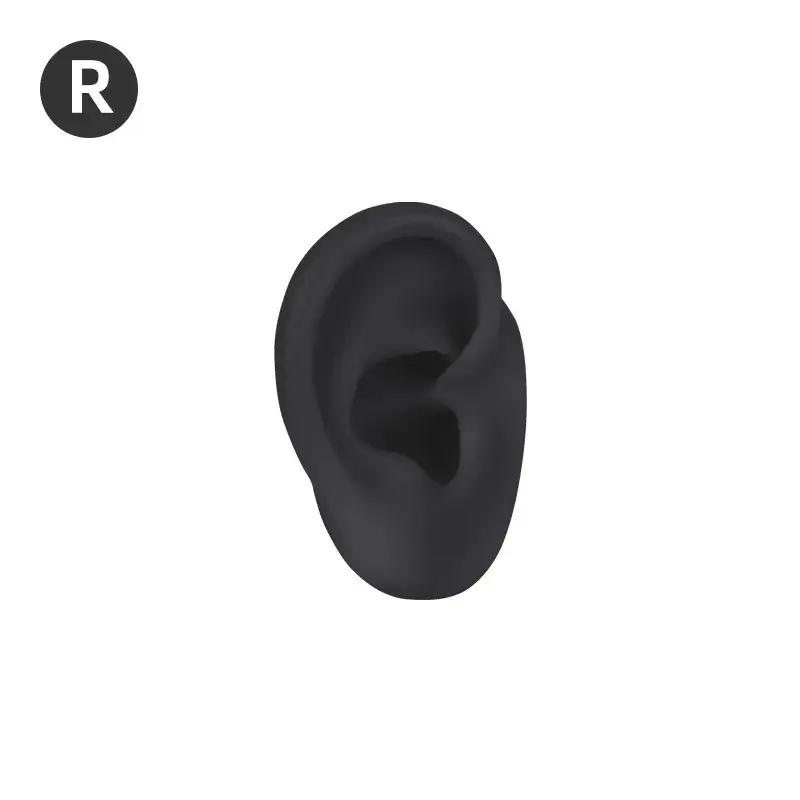 R right ear-small black ear