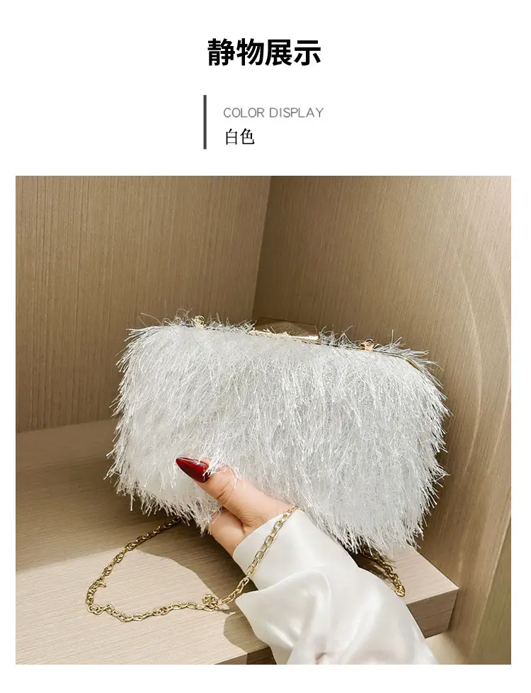 2025 New Cross-Border Elegant Dinner Bag Shoulder Clutch Women's Bag Acrylic Bag Lady Style Makeup Box Bag — feature 5