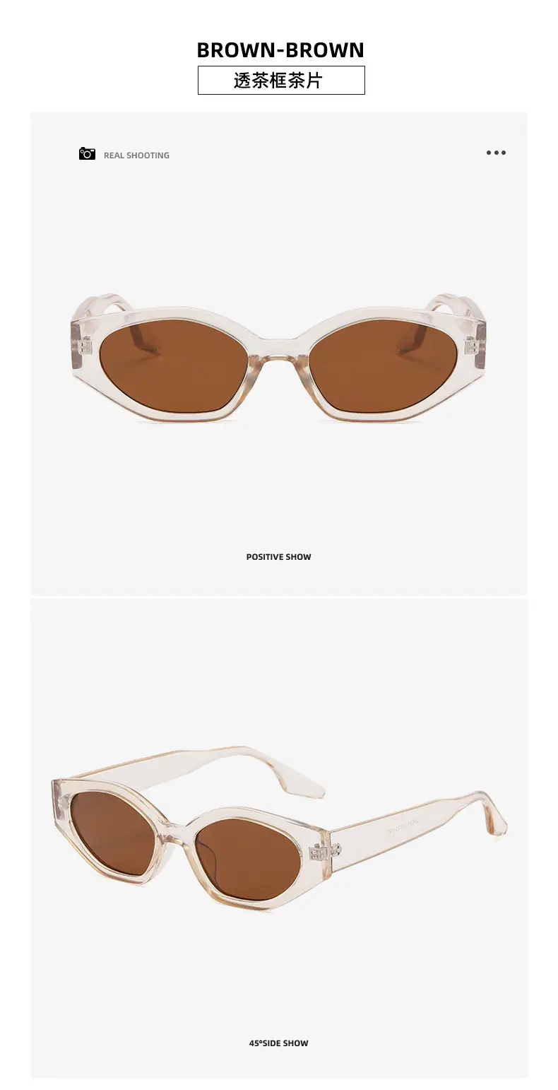 Brown Brown Cat Eye Sunglasses European American — feature 24