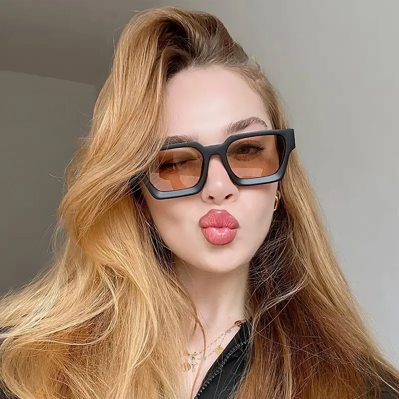 2023 Thick Frame PC Sunglasses Black Tan Lens - Image 21