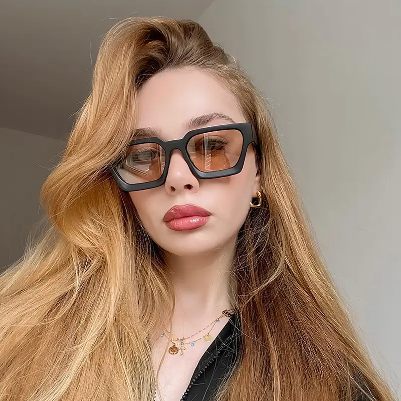 2023 Thick Frame PC Sunglasses Black Tan Lens - Image 22