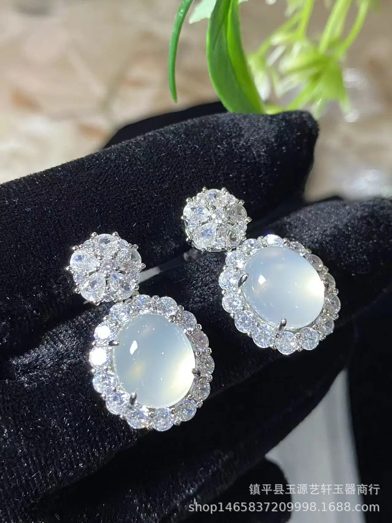 Yang Green Chalcedony Egg Earrings Silver Plated — feature 1