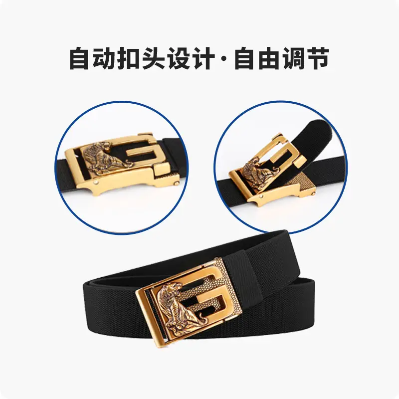 Men's Zodiac Buckle Belt Gold Black Elastic Canvas Universal Light Luxury Belt - Image 7