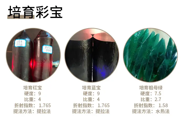 补差价补运费专拍链接 — feature 2