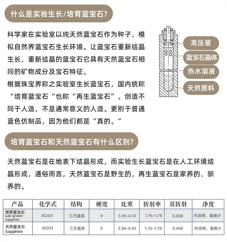 补差价补运费专拍链接 — feature 3