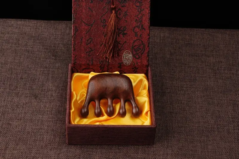 Golden Wooden Dolphin Massage Combs for Hair Care