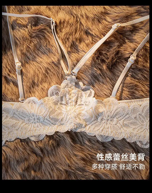 Leopard Print Front Button Beautiful Back Small Breast Push-Up No Wire Bra Breast Reduction Lace Seamless Sexy Sexy Intimates for Women — feature 16