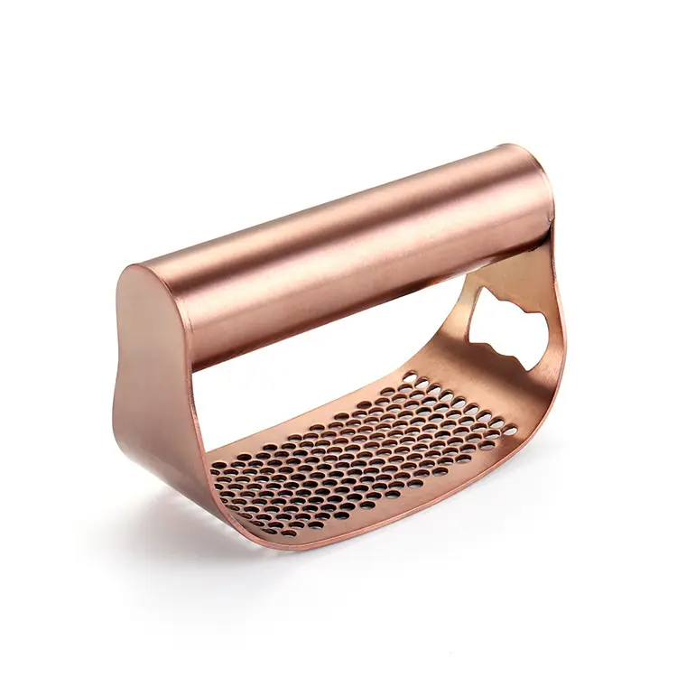 Stainless Steel Garlic Press for Kitchen Use