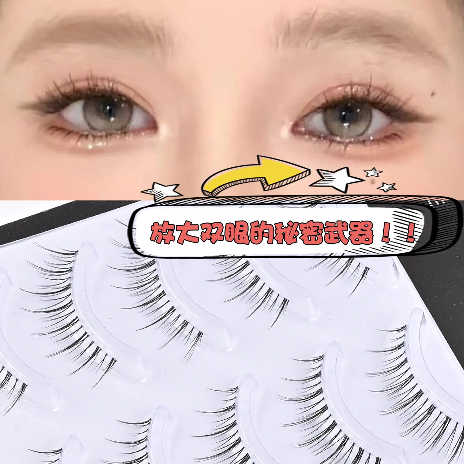 Transparent Terrier False Eyelashes Five Pair Fox Series