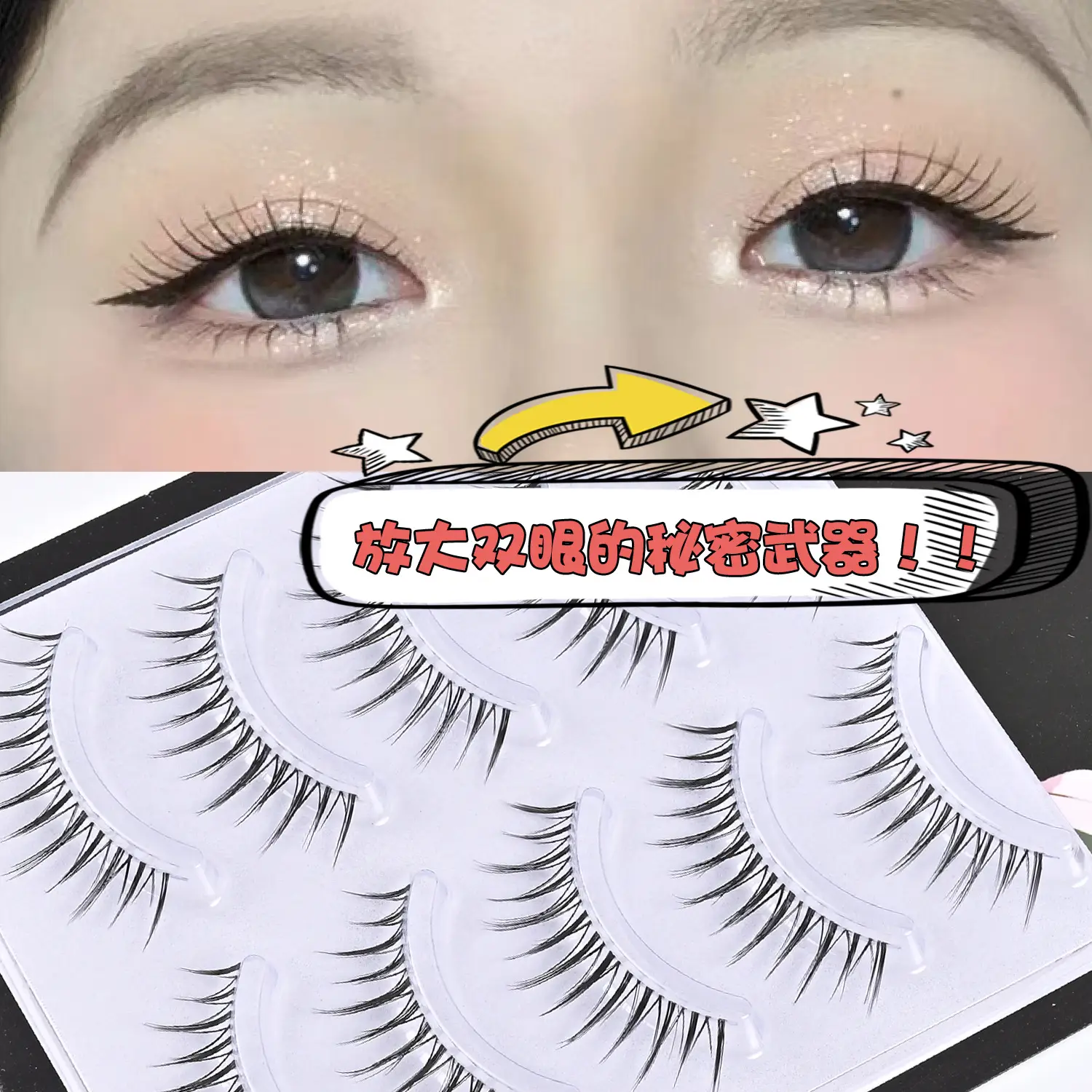 Transparent Terrier False Eyelashes Five Pair Fox Series