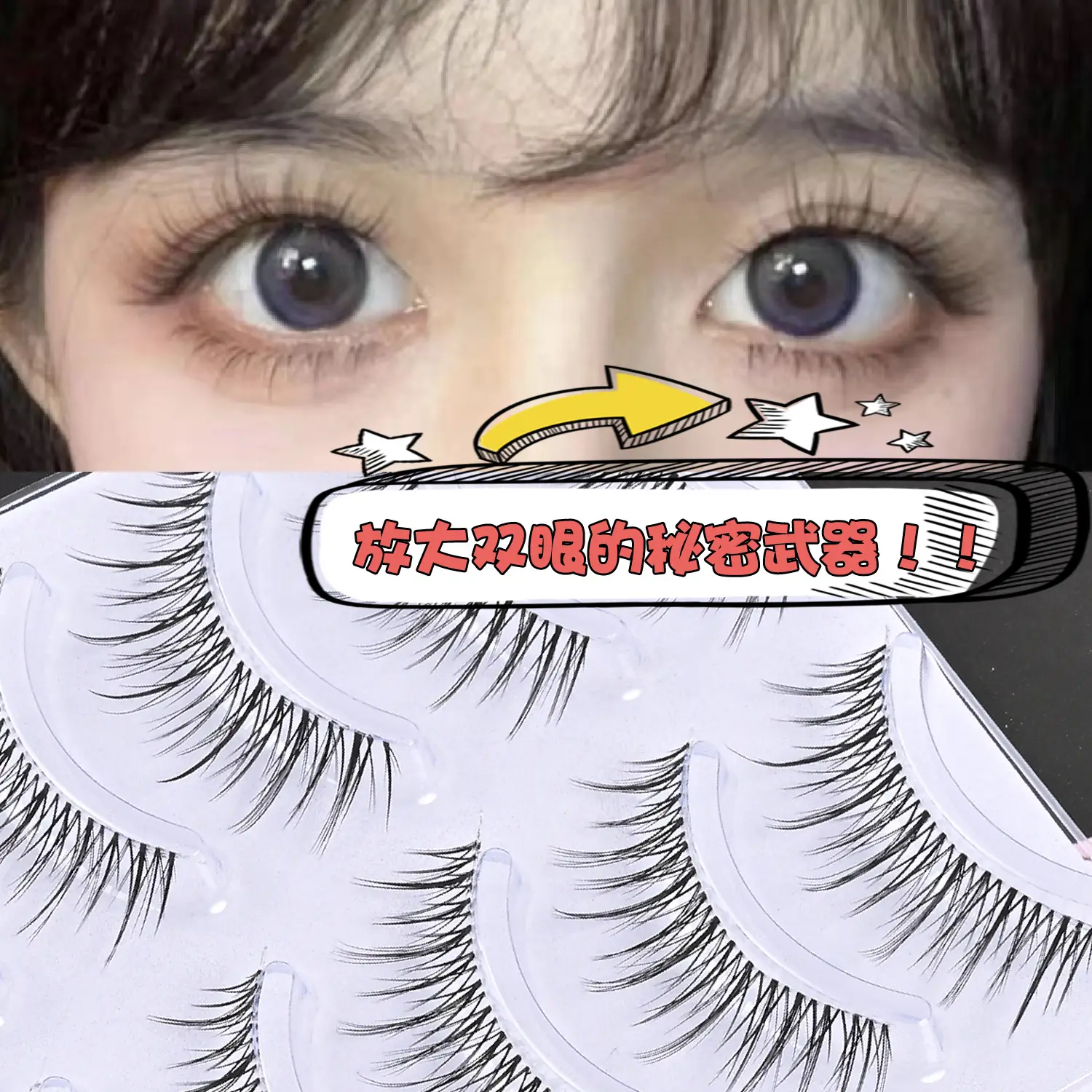 Transparent Terrier False Eyelashes Five Pair Fox Series