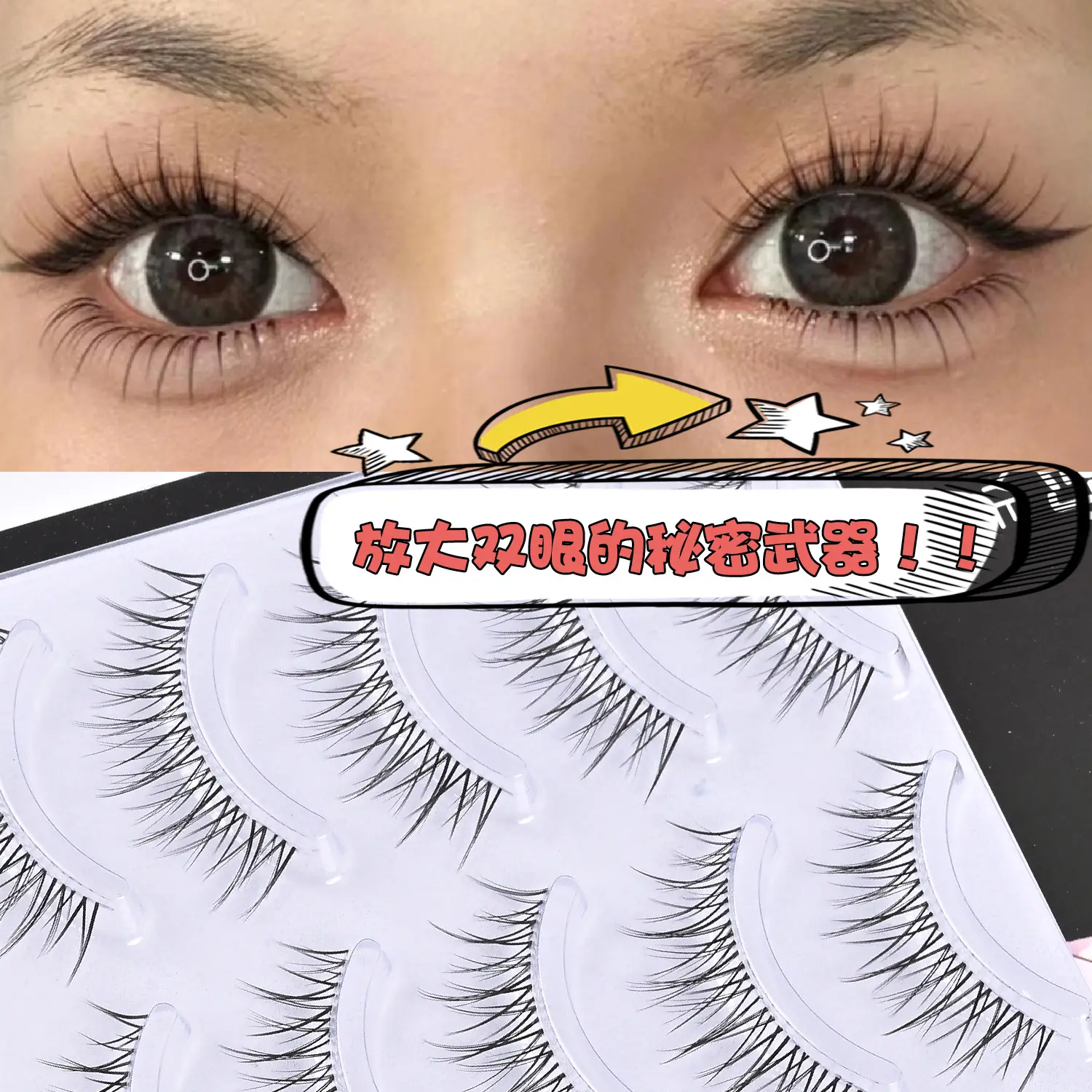 Transparent Terrier False Eyelashes Five Pair Fox Series