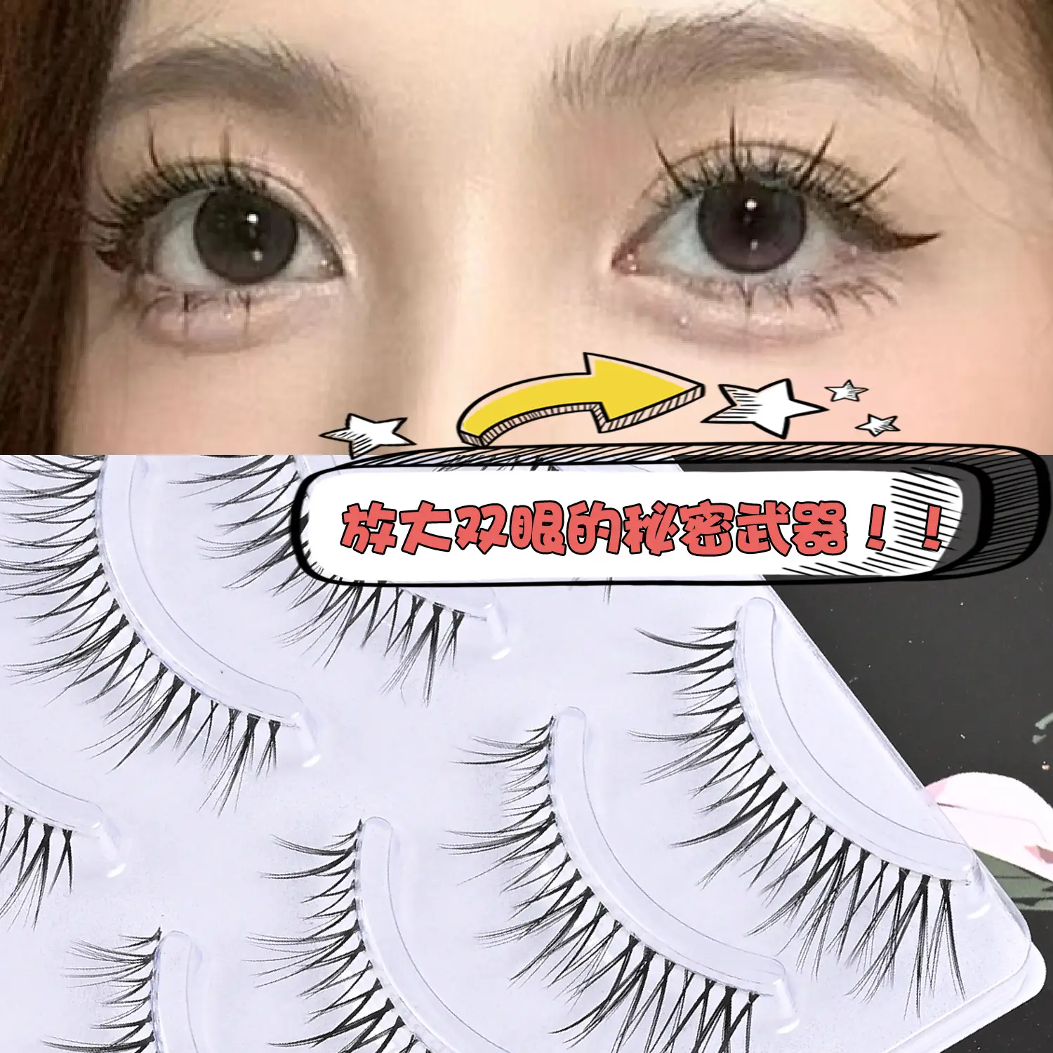 Transparent Terrier False Eyelashes Five Pair Fox Series