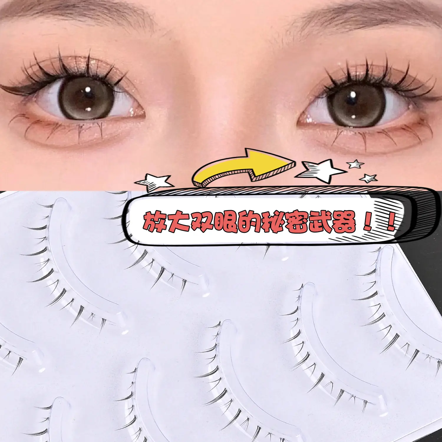 Transparent Terrier False Eyelashes Five Pair Fox Series
