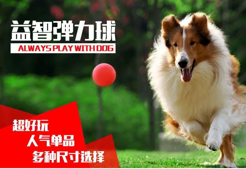 Dog training ball pet bite-resistant ball solid rubber elastic ball rope pet toy with rope elastic ball — feature 1