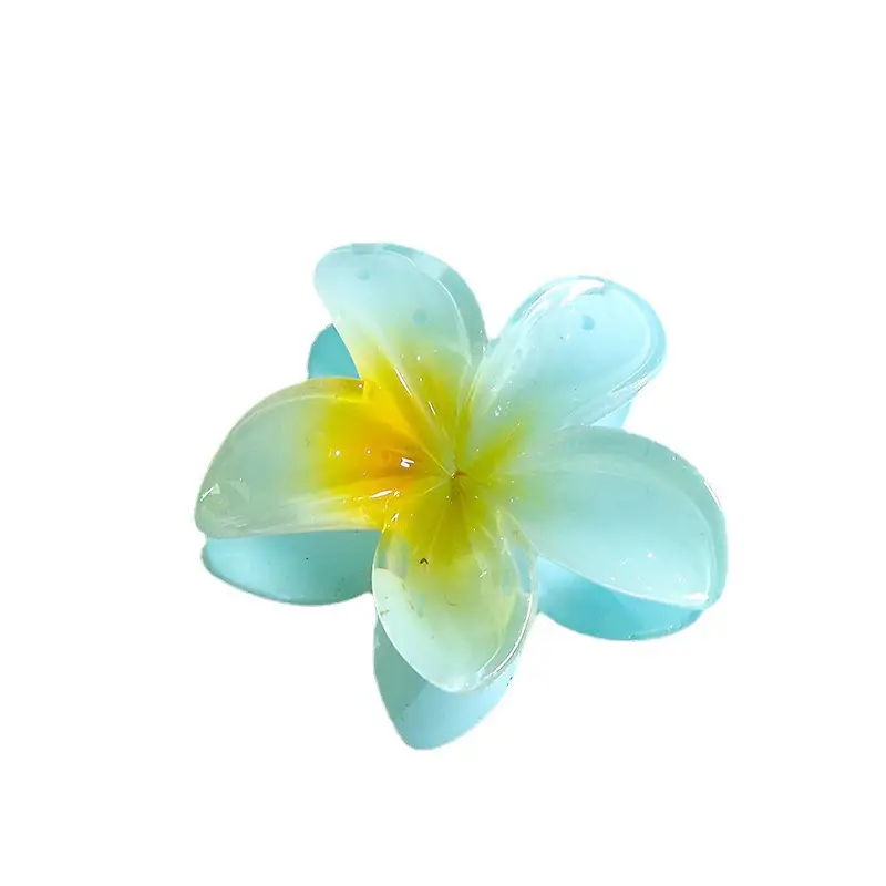Transparent Flower Candy Color Clips for Hair - Image 11