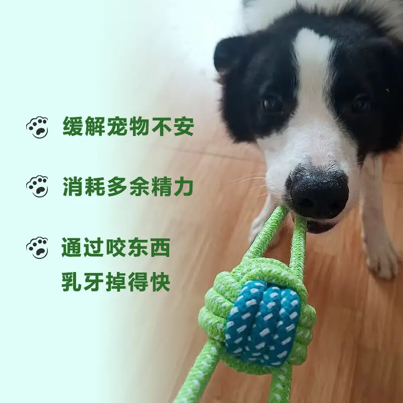 Dog Chew Toys for Puppies, Teddy Teething Sticks, Small Dog Golden Retriever Dental Cleaning Rope Toys, Training Set for Small and Medium-Sized Dogs