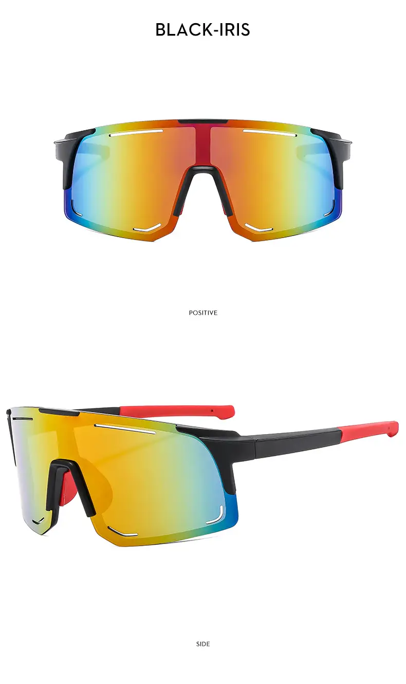 2024 New Windproof Ski Goggles for Men Women β feature 17
