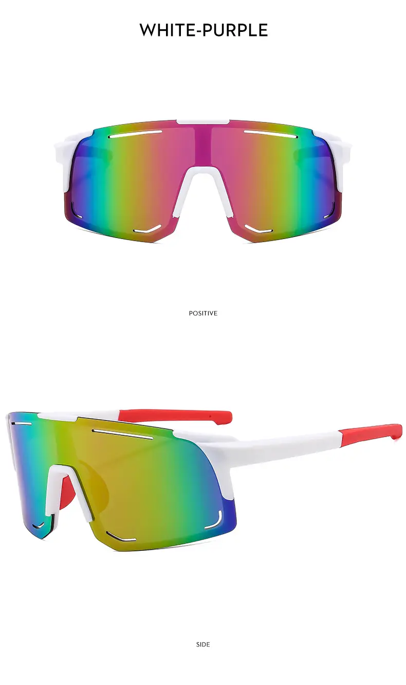 2024 New Windproof Ski Goggles for Men Women β feature 19