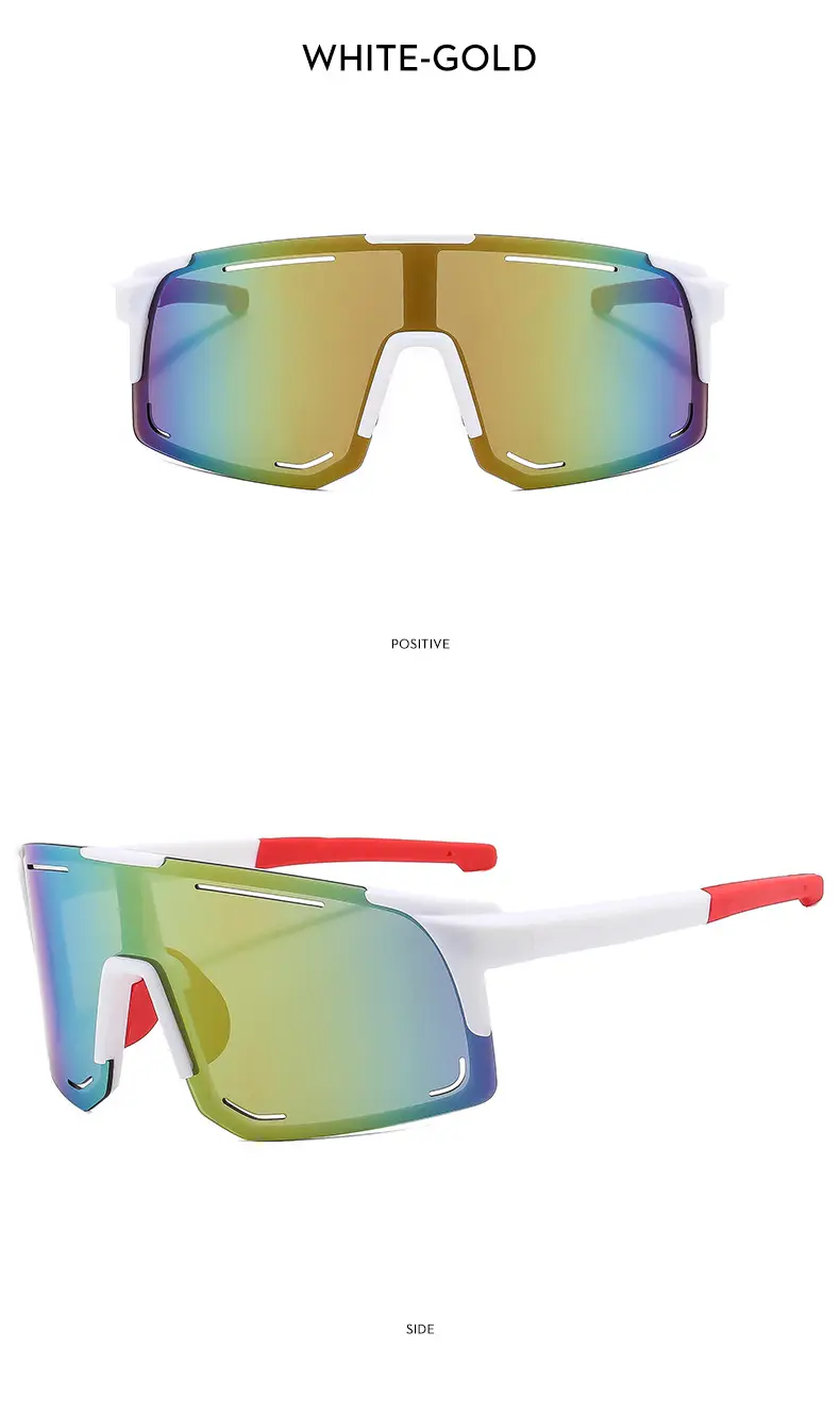 2024 New Windproof Ski Goggles for Men Women β feature 20