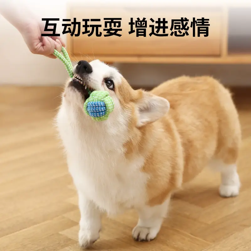 Dog Toy Knot Tug Toy Interactive Pull Bite Rope Molar Large and Medium Small Dog Wool Bite Resistant Rope Knob