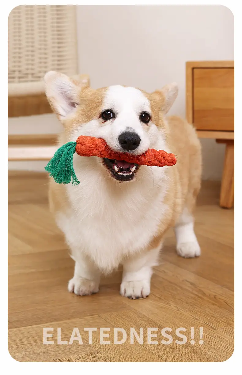 Dog Toy Knot Tug Toy Interactive Pull Bite Rope Molar Large and Medium Small Dog Wool Bite Resistant Rope Knob — feature 14