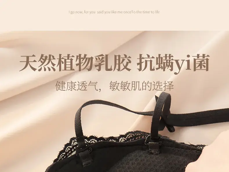 Lace Push Up Bra for Women Small Chest Anti Sagging — feature 17