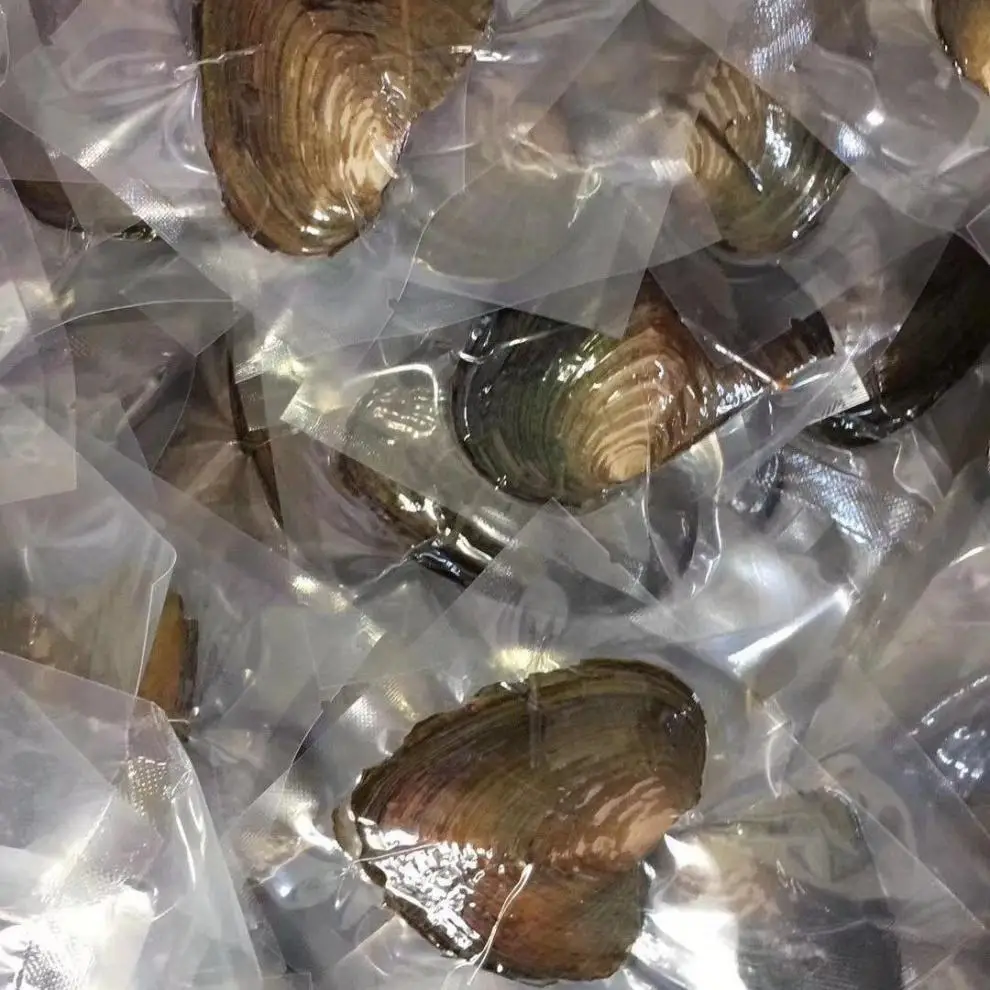 Freshwater Pearl Scattered Baroque Balls Wholesale — feature 2