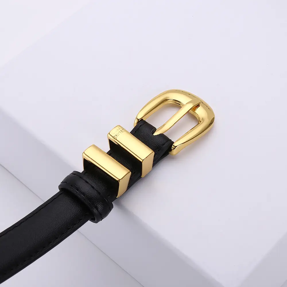 Women's Arc de Triomphe Gold Buckle Belt Brown Black - Image 6